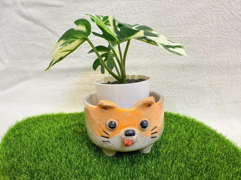 狗狗盆栽 - 植栽/盆栽 - 陶 橘色