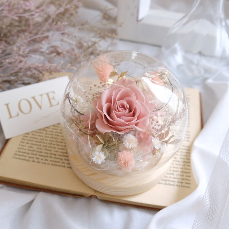 玻璃钟罩/裸色/永生花/不凋花/干燥花/小夜灯/母亲节/情人节/七夕 - 植栽/盆栽 - 植物．花 粉红色