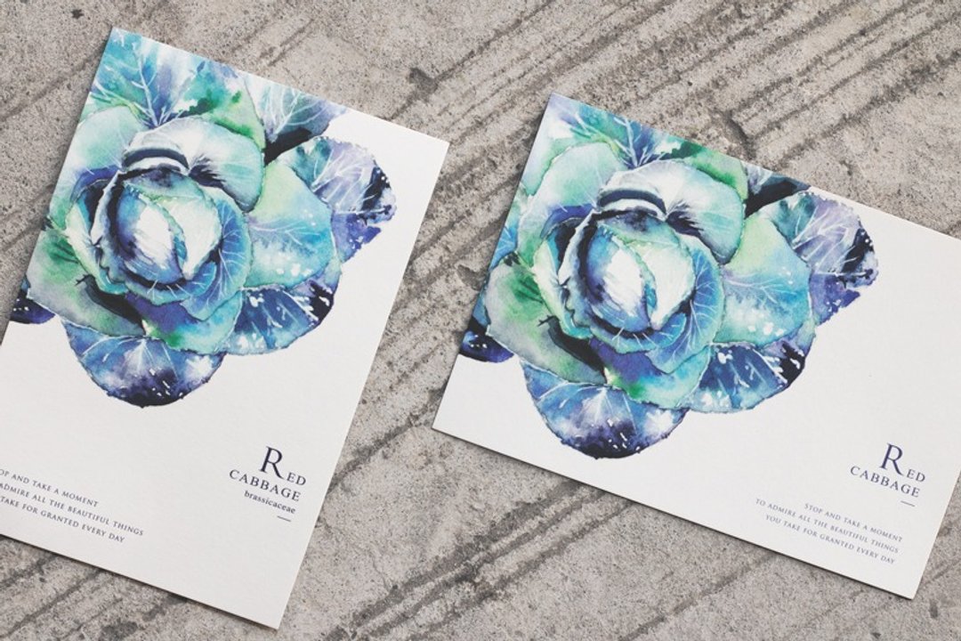 紫色甘蓝 蔬菜水彩明信片 (2入)卡片/礼物/postcard - 卡片/明信片 - 纸 白色