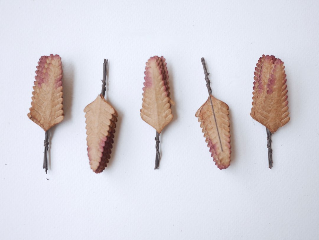 Paper Flower, Gift decoration DIY supplies: 50 Ferns dark brown brush red colors - 其他 - 纸 咖啡色