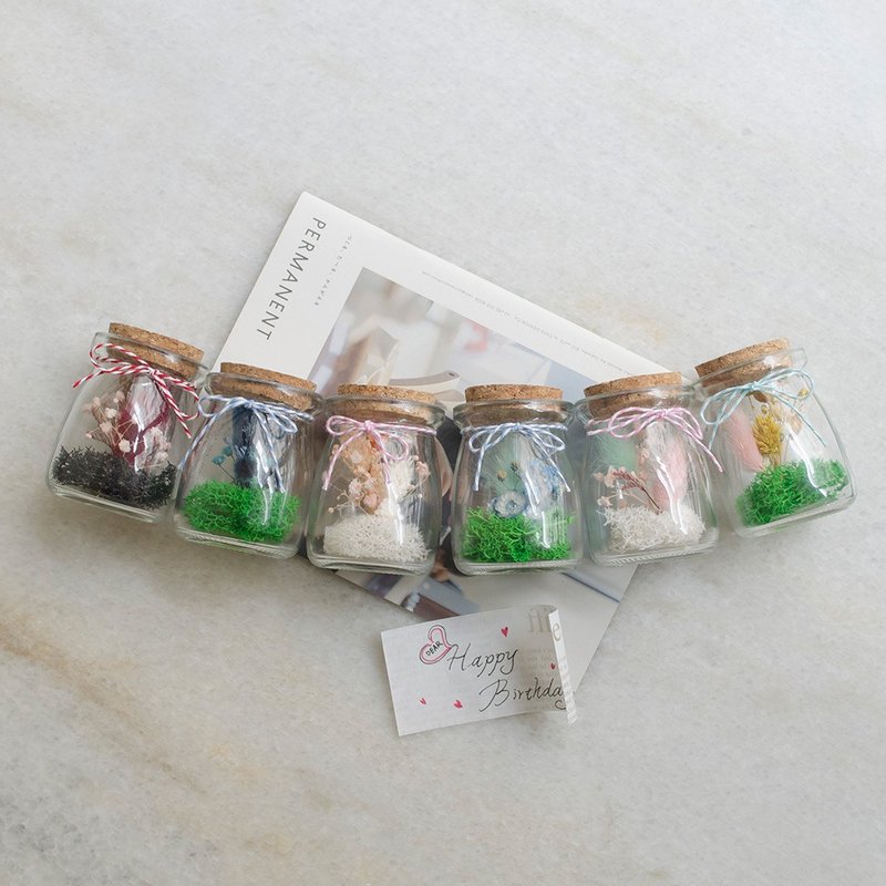 干燥花瓶中信 / 传情纸条 / 字卡 / 祝福小品 可定制色系 - 干燥花/捧花 - 植物．花 