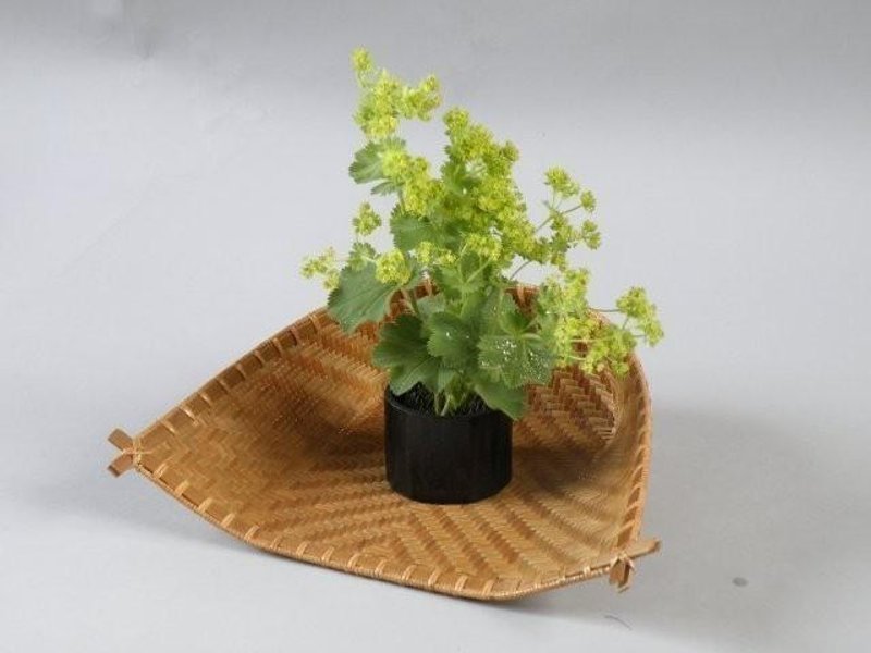 Amiyo Mino - 浅碟/小碟子 - 竹 