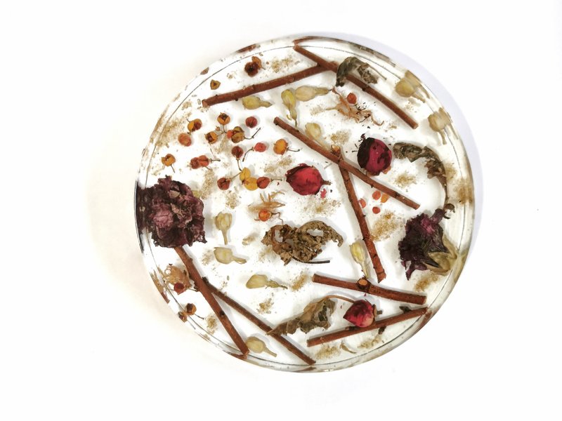 贵人花精灵气板 Benefactor Hz Floral Plate - 摆饰 - 植物．花 透明