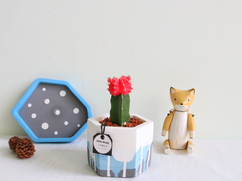 桃红绯牡丹 海洋蓝渐层水泥盆栽 可定制英文名字 生日礼物 - 植栽/盆栽 - 水泥 蓝色