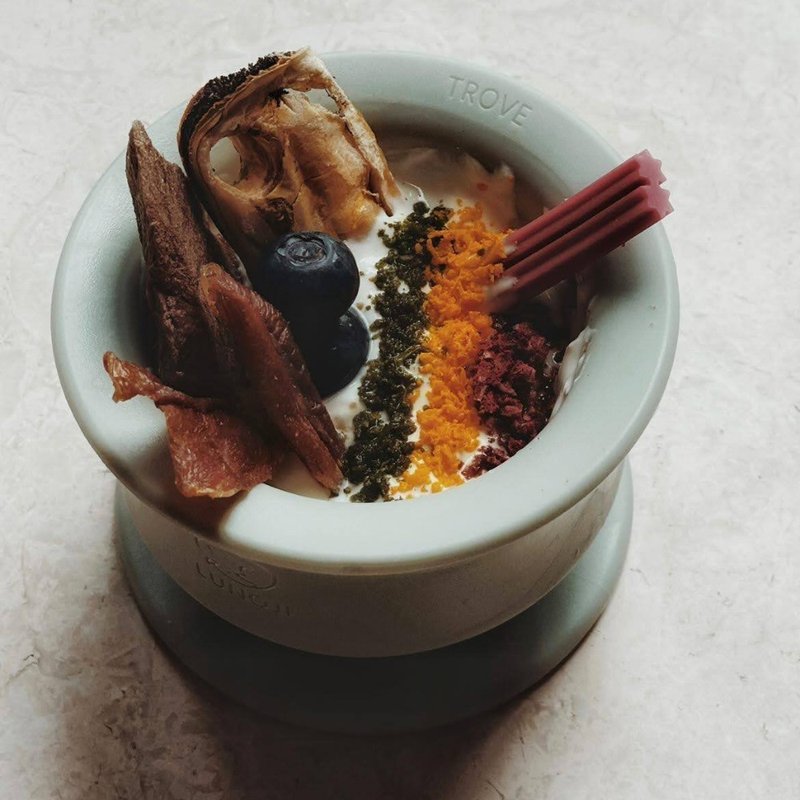 【Lunoji】 CHEWDEN 舔舔碗 -舔食 抗忧解忧 - 碗/碗架 - 其他材质 绿色