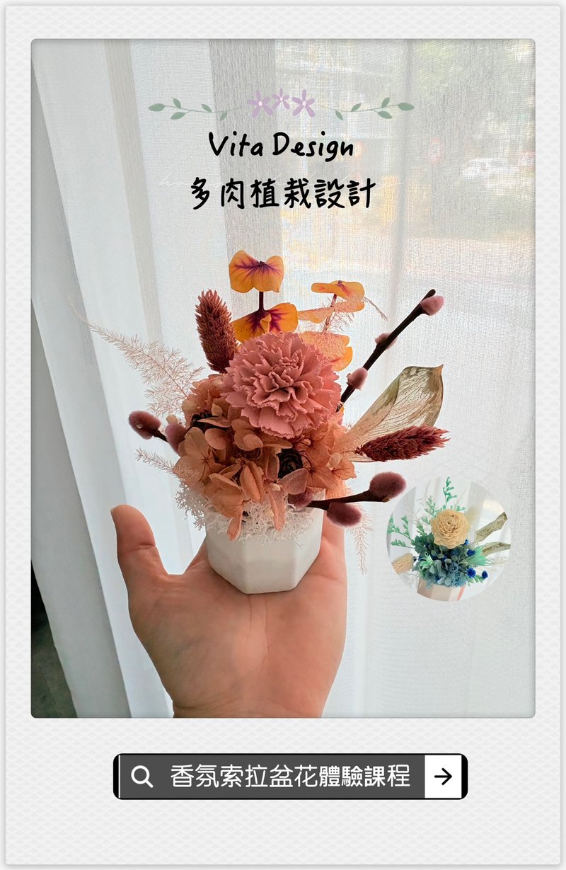 【体验活动】Vita Design香氛永生扩香盆花 亲子花艺 企业团体课 - 植栽 - 水泥 