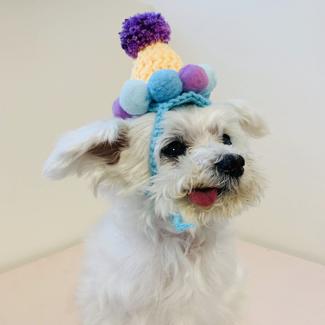 生日帽/噗与毛怪/宠物手工毛线帽/犬猫头套/宠物狗狗猫咪帽子 - 衣/帽 - 棉 红色