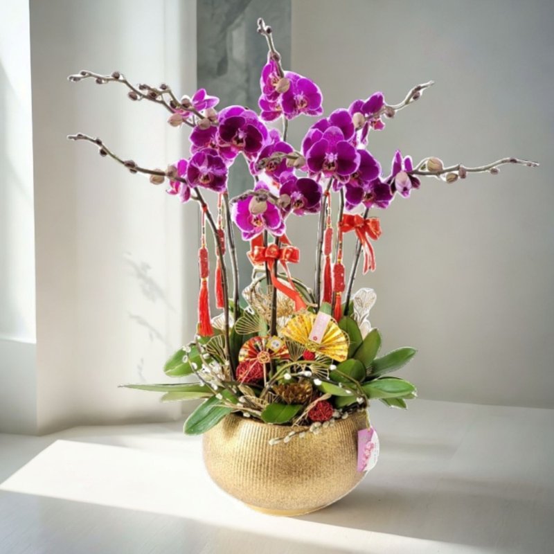 大财主蝴蝶兰8棵配喜庆挂饰 (GF00305) - 植栽/盆栽 - 植物．花 