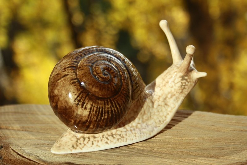 Snail porcelain figurine, statuette, statue - 摆饰 - 瓷 