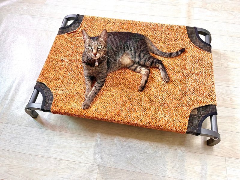 冰晶灰-刚果黑+微光金 - 床垫/笼子 - 其他金属 灰色