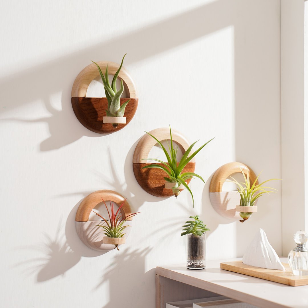 【新年旺来 壁挂盆】空气凤梨盆器 深浅色两款 | 莳光 - 植栽/盆栽 - 木头 
