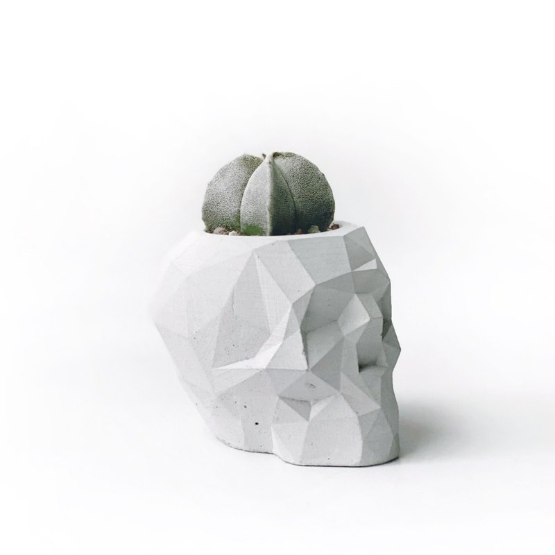 (现货) 纯灰系列 | 银色四棱鸾凤玉 几何骷髅头水泥仙人掌植栽 - 植栽/盆栽 - 植物．花 灰色