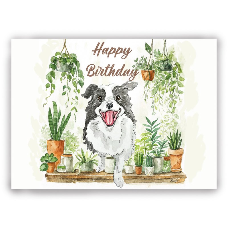 手绘插画 万用卡/卡片/明信片/插画卡/生日卡-微笑生日边境牧羊犬 - 卡片/明信片 - 纸 