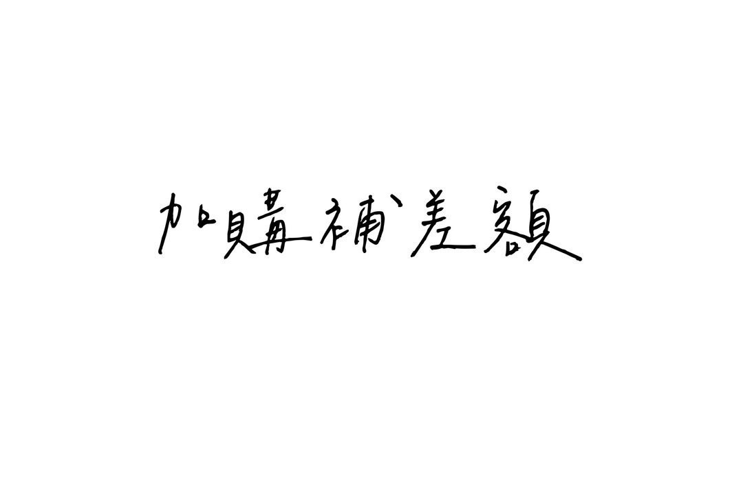 加购专区 - 干燥花/捧花 - 其他材质 白色
