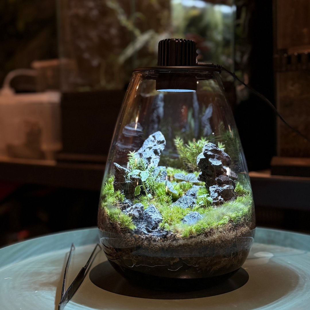 原境之光/STONEFIELD LAMP/自带光源微岭风格/生态瓶 - 花瓶/陶器 - 玻璃 多色