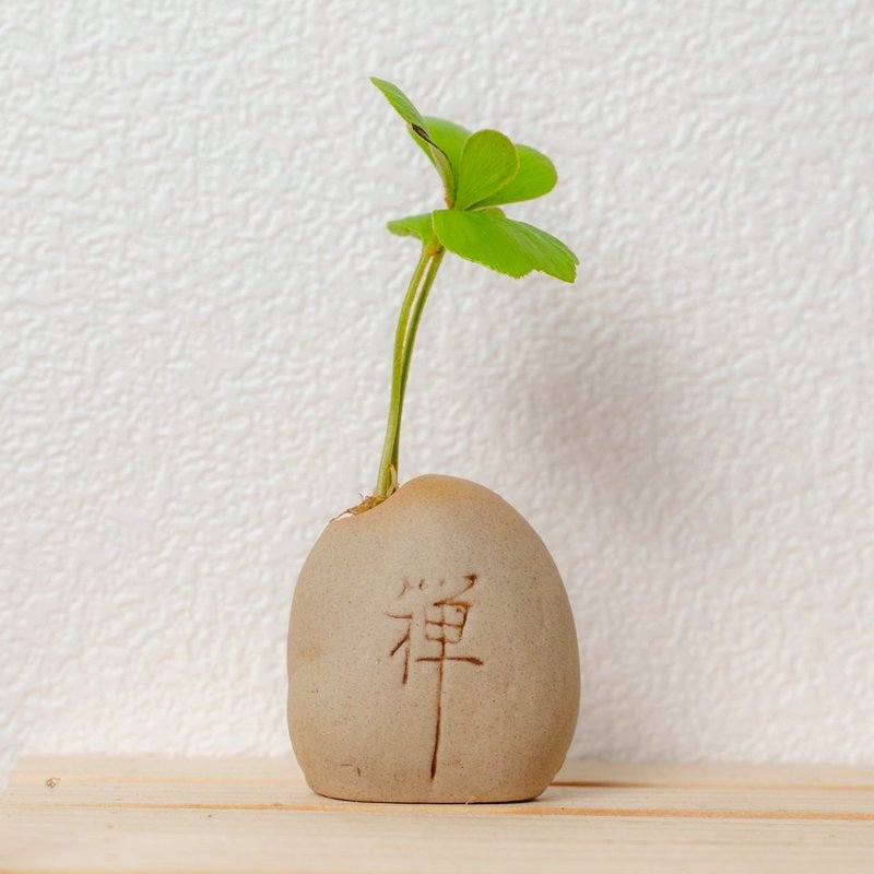 禅石系列-墨西哥幸运铁树盆栽 - 植栽/盆栽 - 陶 咖啡色