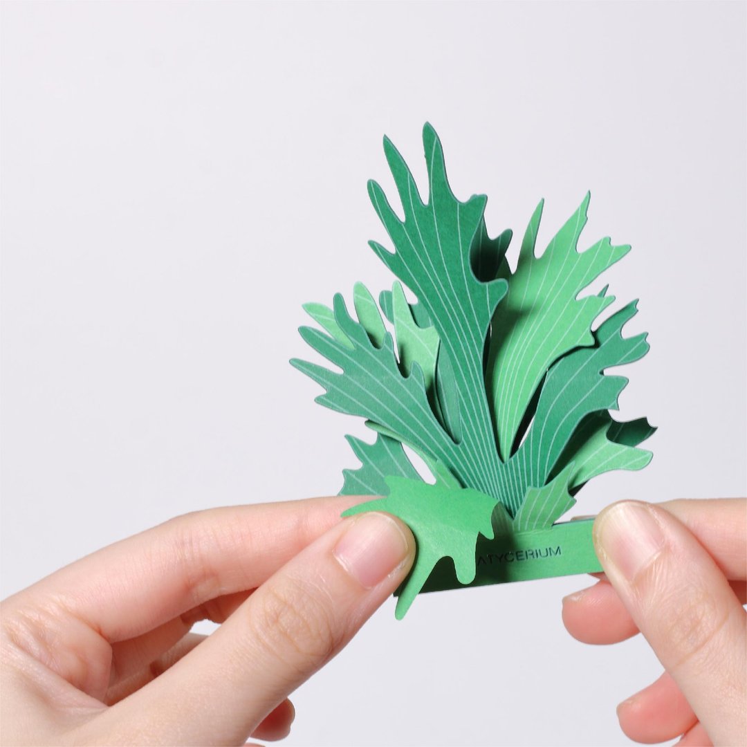 【立体植物贴纸】 鹿角蕨 (605016) FingerART纸雕纸艺术 - 贴纸 - 纸 绿色