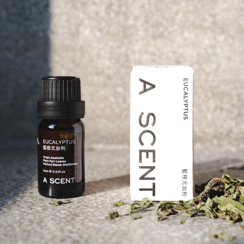 蓝桉尤加利精油 10ml - 香薰/精油/线香 - 精油 绿色