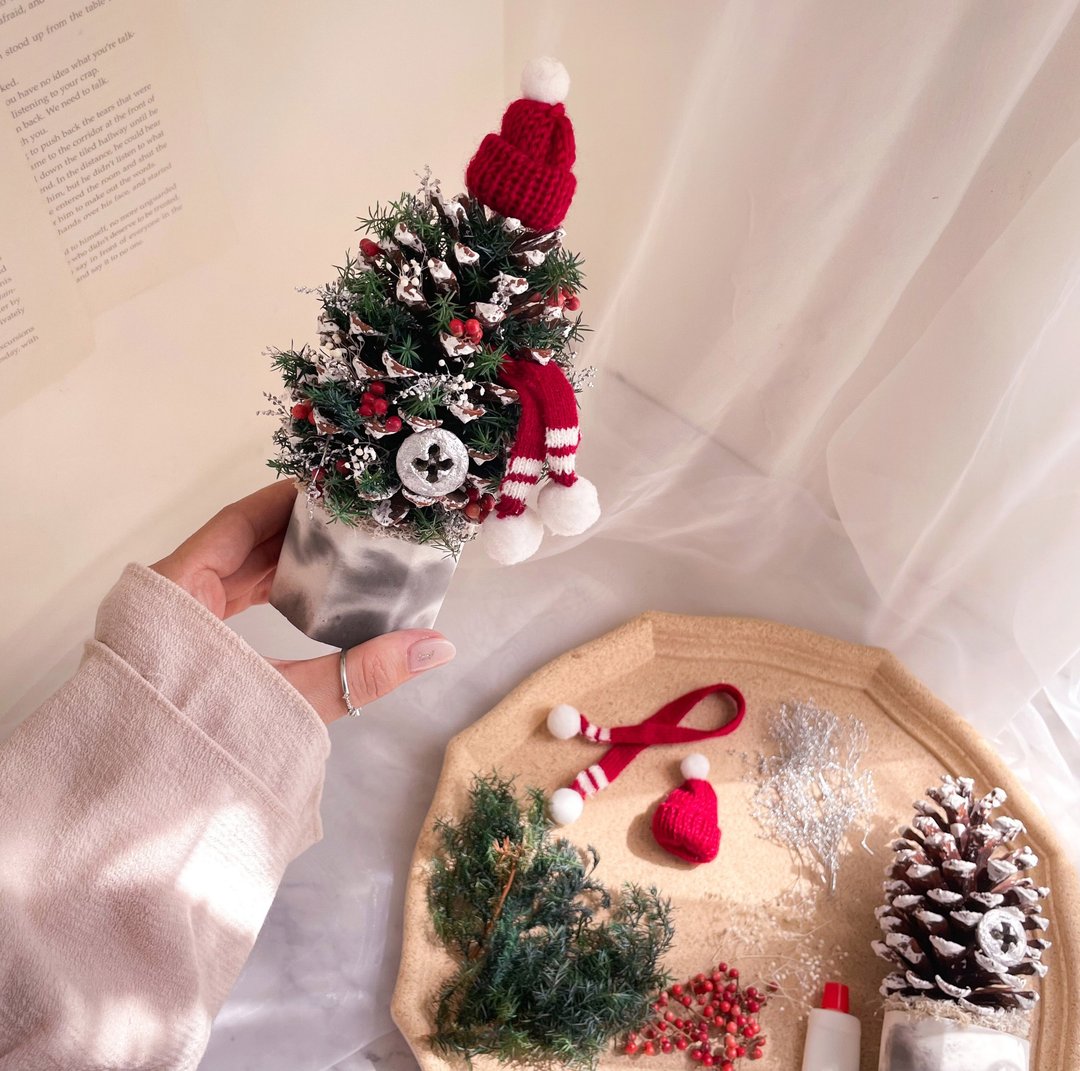 DIY雪白干燥花圣诞树  圣诞礼物 交换礼物 附圣诞包装 定制化礼物 - 植栽 - 植物．花 粉红色
