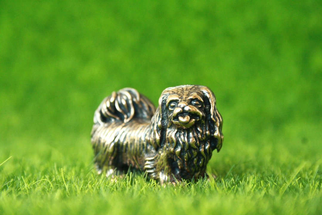 Japanese Chin, Pekingese dog - miniature statuette of bronze, metal figurine - 摆饰 - 铜/黄铜 