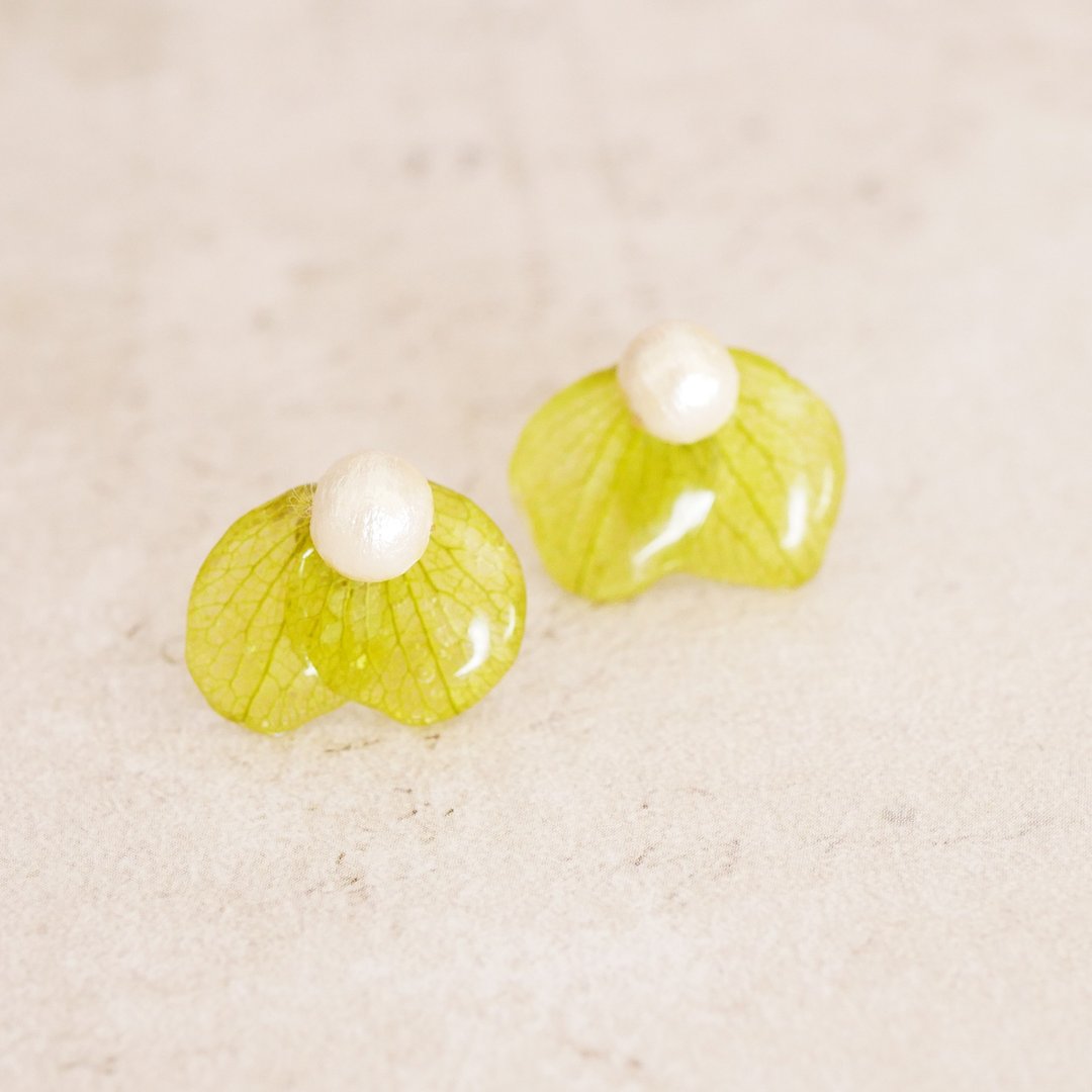 Real hydrangea flower earrings - 耳环/耳夹 - 树脂 绿色