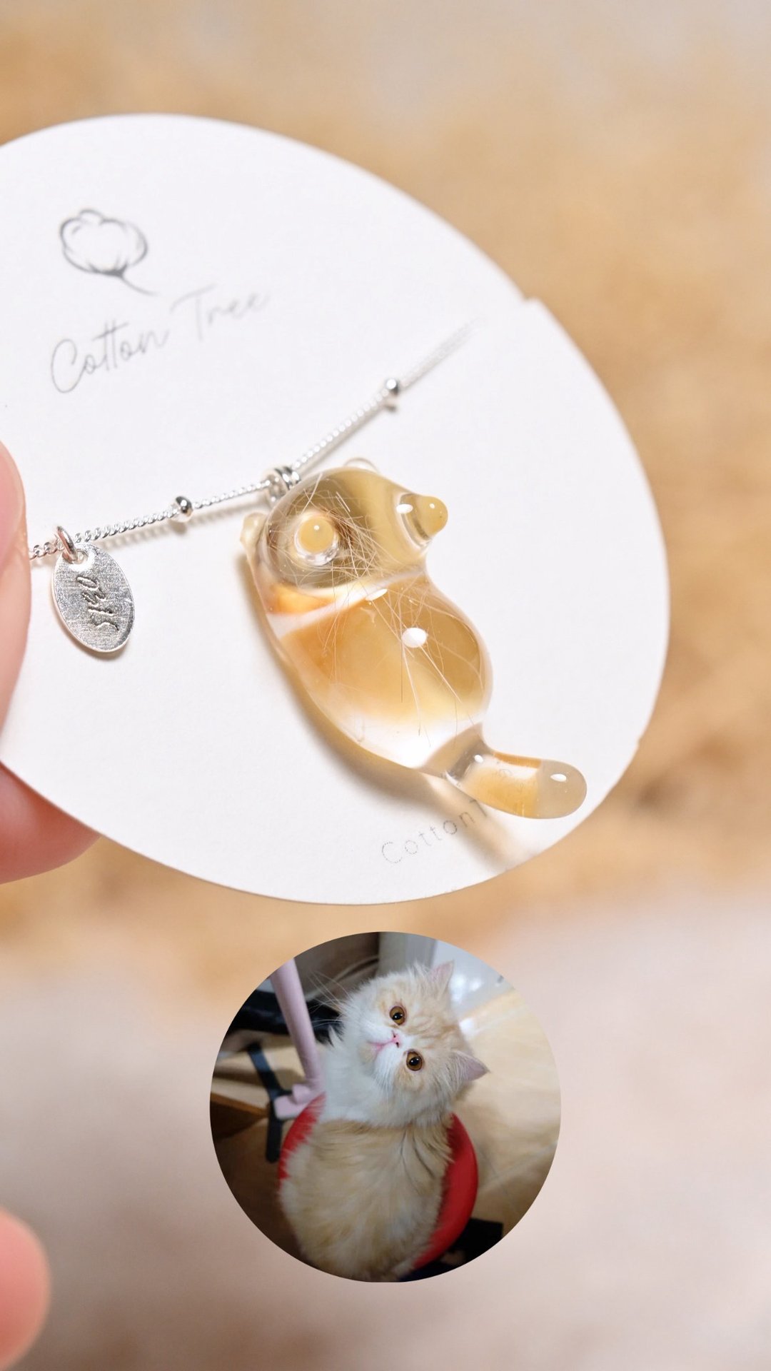 【定制化宠物记念品】猫咪毛发纪念礼物 925 纯银项链、手链饰品 - 项链 - 树脂 橘色