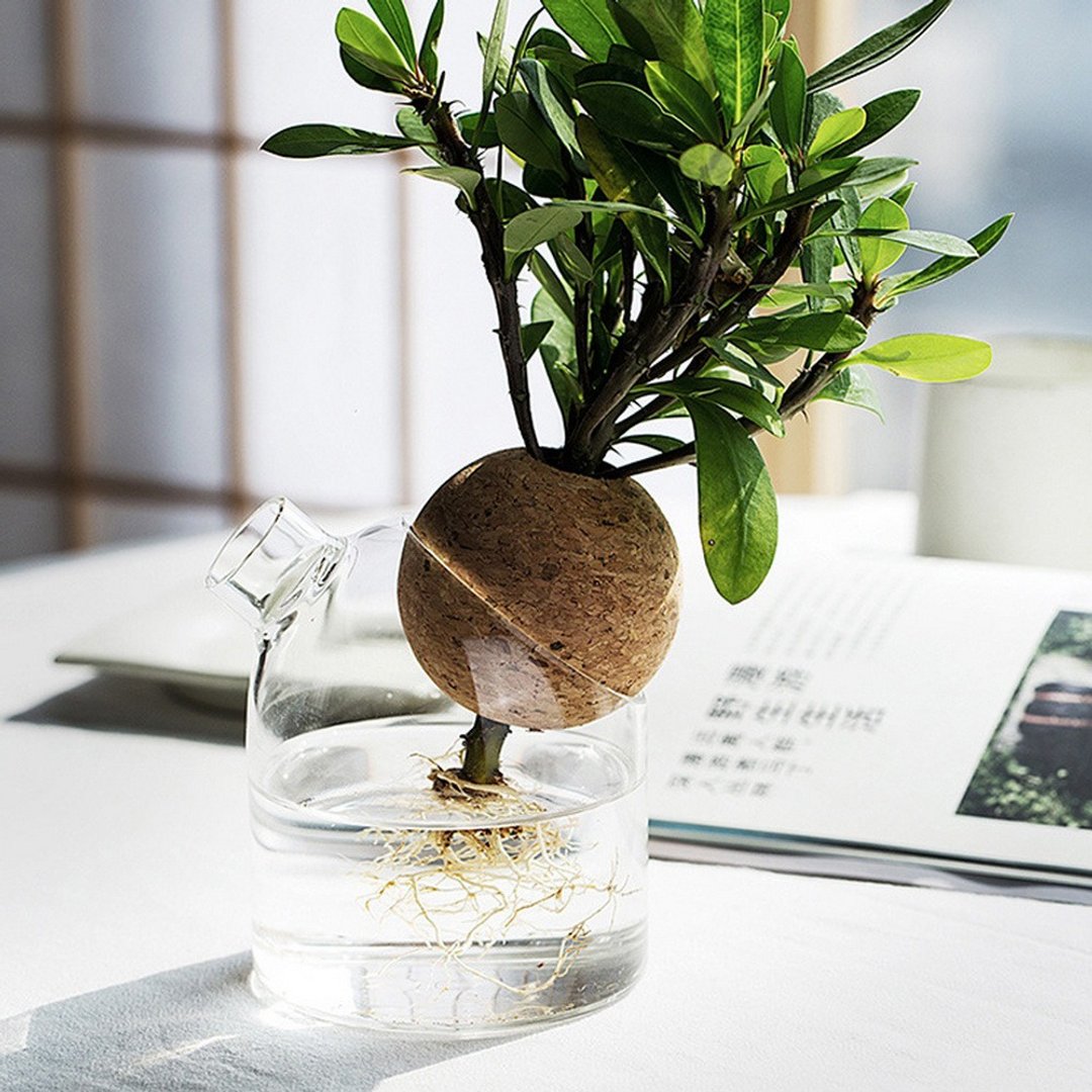 木笙壶笙花器 - 植栽/盆栽 - 玻璃 透明