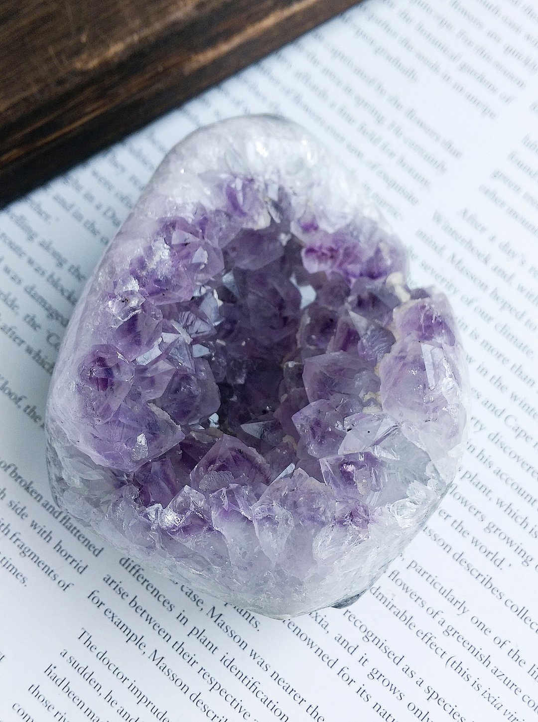 Amethyst  乌拉圭产地 原皮紫水晶  紫水晶晶镇 天然矿石 原矿 - 摆饰 - 其他材质 
