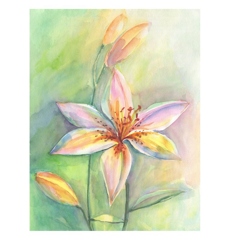 百合原创水彩画现代绘画精致花卉艺术 39x29cm - 插画/绘画/写字 - 纸 粉红色