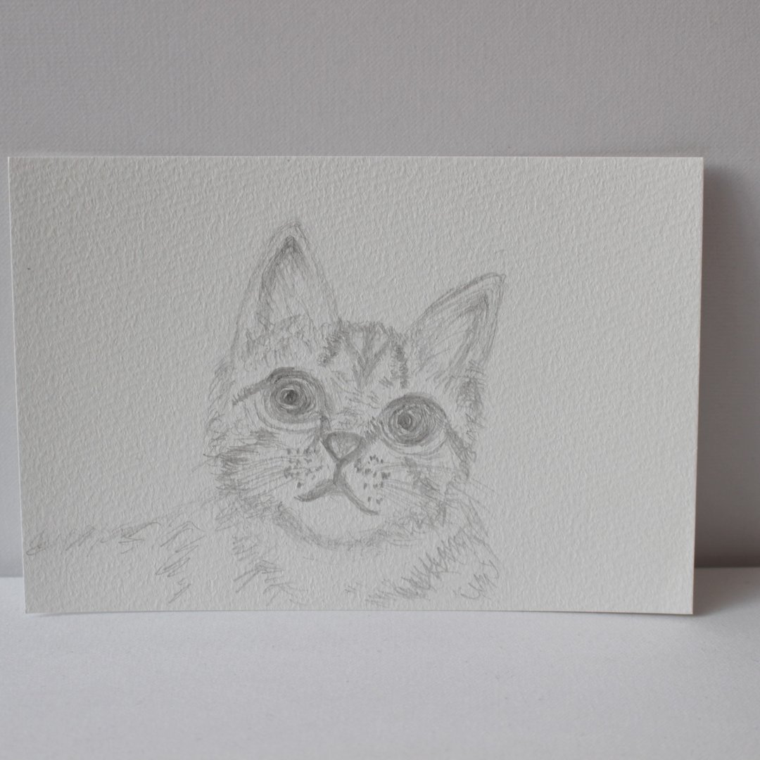 猫咪 线绘 - 海报/装饰画/版画 - 纸 白色