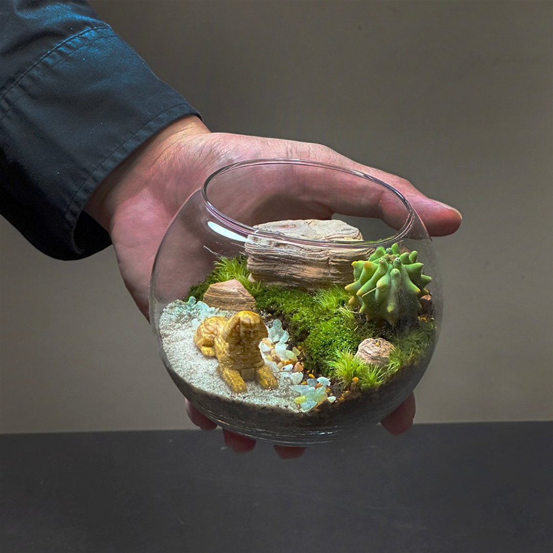 图坦卡门的神秘绿洲 - 掌上型手工微景观生态盆 - 植栽/盆栽 - 植物．花 