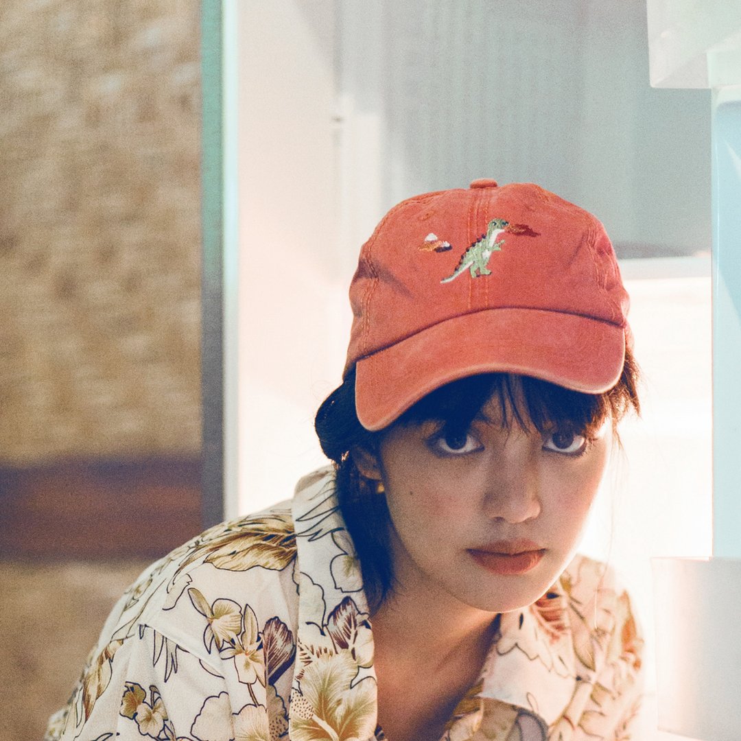 dinosaur embroidery cap / vintage red brick, vintage yellow mustard - 帽子 - 棉 多色