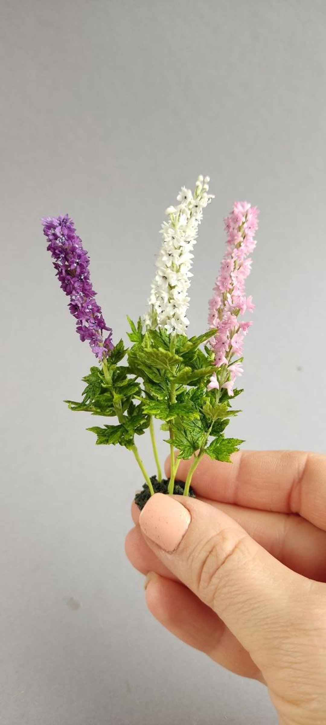 与飞燕草的组合物1:12。植物微型图 - 其他 - 塑料 蓝色