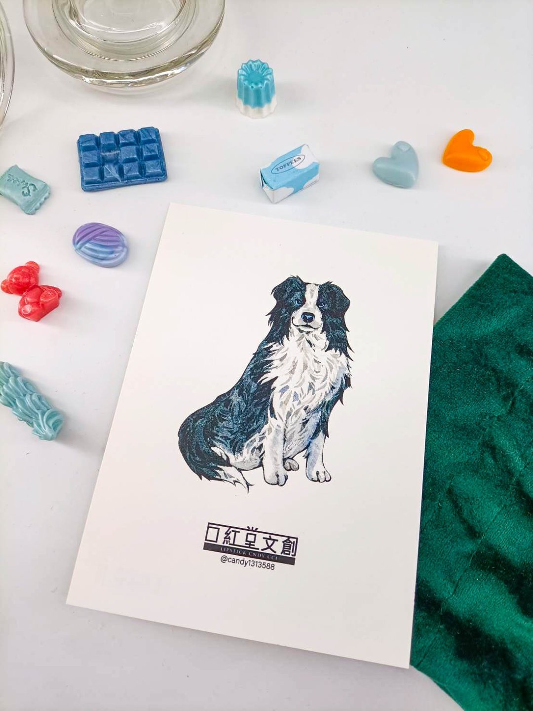 KR474_口紅堂明信片_邊境牧羊犬1_candy1313588 postcard - 卡片/明信片 - 纸 多色