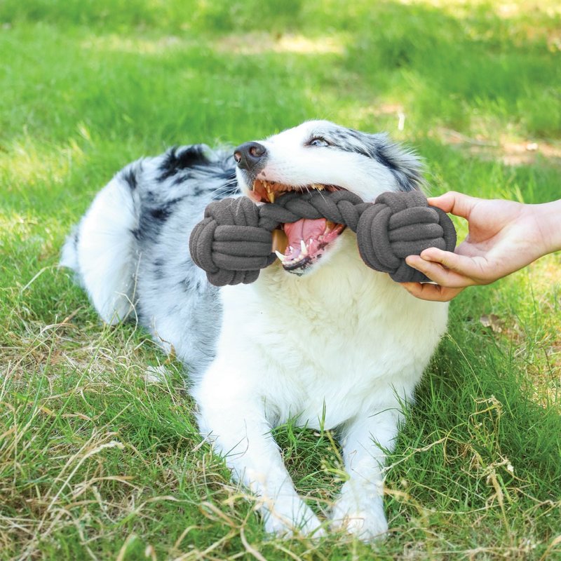 【MPETS】天然棉 ! COTO绳索玩具-天然棉双球形洁牙绳/铅球洁牙绳 - 玩具 - 棉．麻 多色