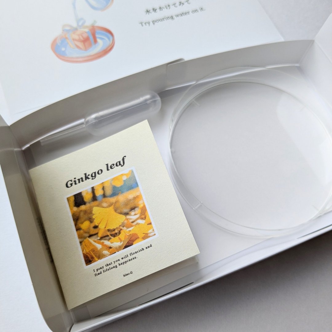 会溶解的书本礼物 / 项链 / 银杏 / 不锈钢 - 项链 - 塑料 橘色