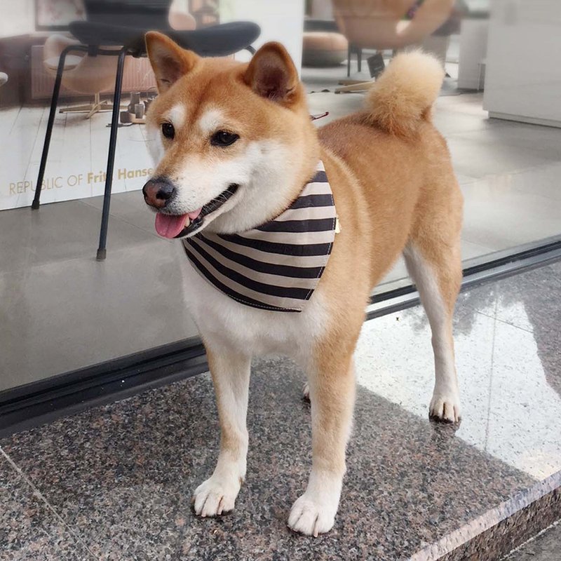 狗狗专属名领巾-定制化(中型犬)- 灰条纹 - 项圈/牵绳 - 棉．麻 灰色