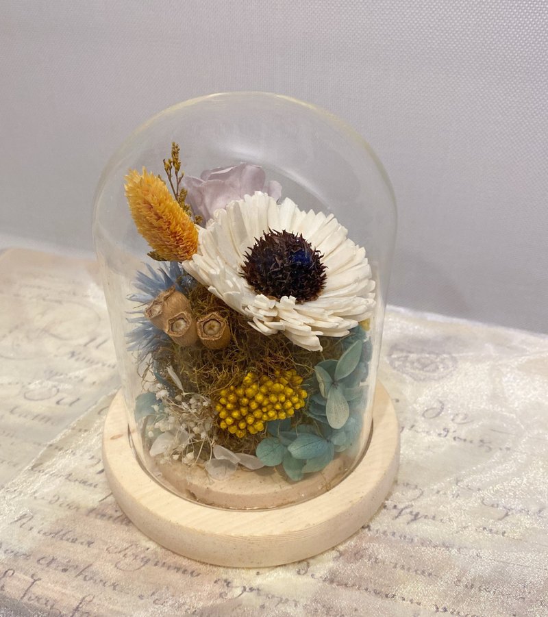 太阳花玻璃盅 毕业礼物永生玫瑰 夜灯 防尘罩 情人节 生日 定制化 - 摆饰 - 玻璃 橘色