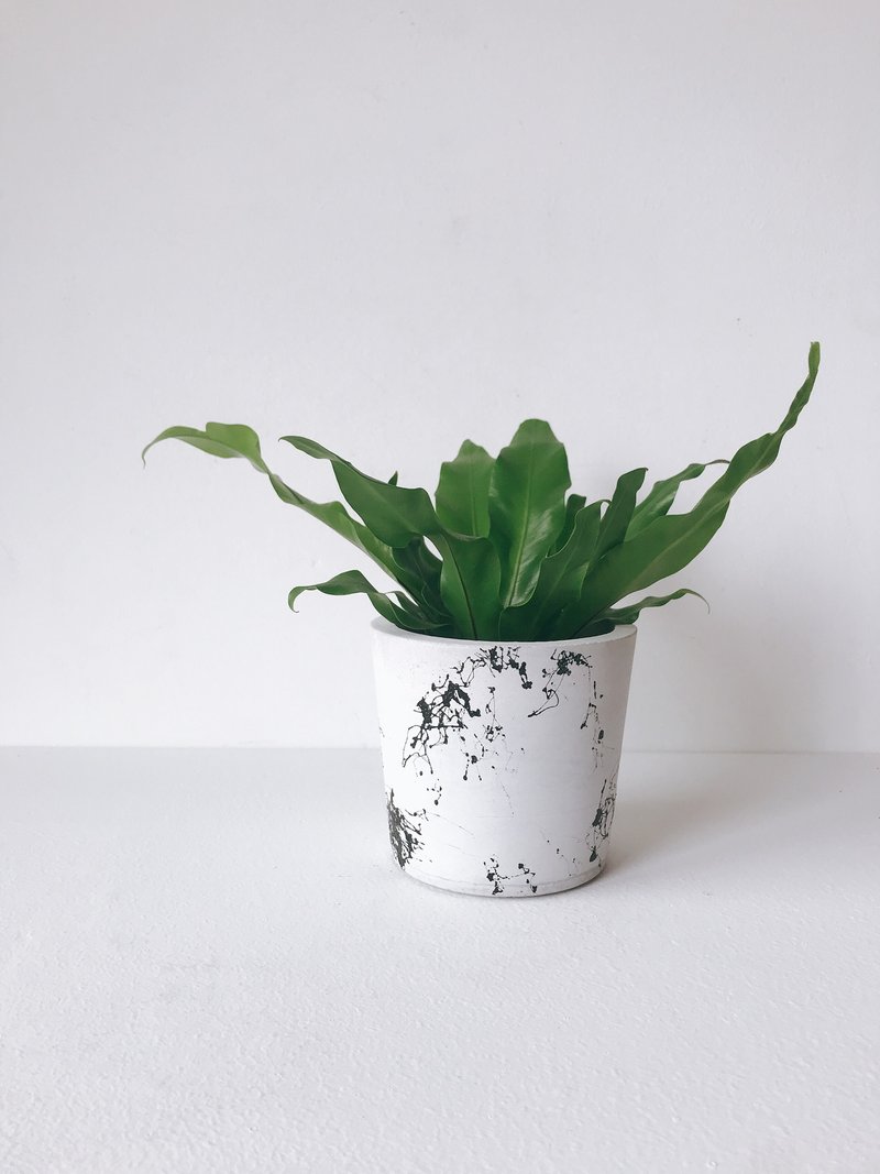 墨曰-泼墨水泥盆器 - 植栽/盆栽 - 水泥 灰色