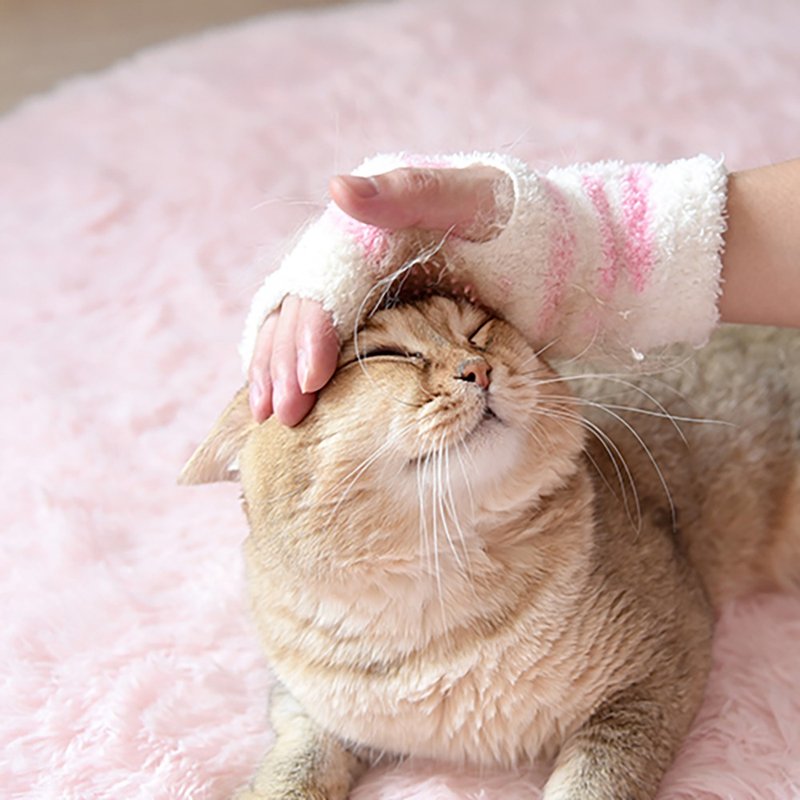 【日本CattyMan】猫用按摩梳理手套 - 清洁/美容 - 其他材质 粉红色