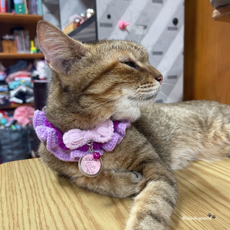 蕾丝波浪猫项圈 - 项圈/牵绳 - 聚酯纤维 多色