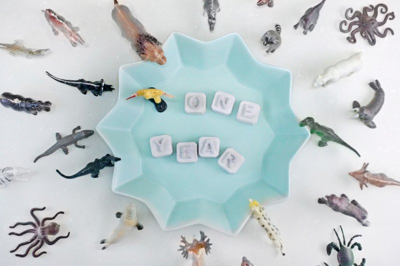 周年庆满额赠-活动办法 - 植栽/盆栽 - 水泥 粉红色