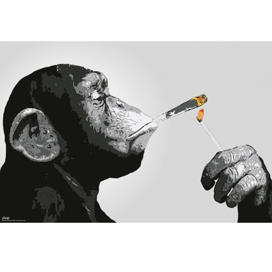 STEEZ / Smoking Monkey (猴子点菸) 英国进口海报 - 海报/装饰画/版画 - 其他材质 灰色