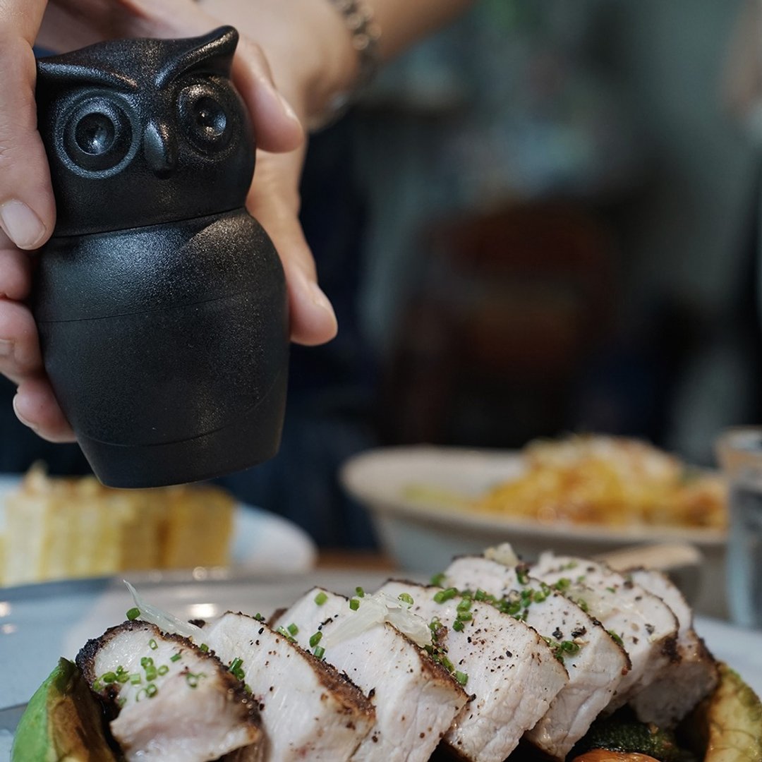 QUALY 猫头鹰研磨器-黑色 - 调味罐/酱料瓶 - 塑料 黑色