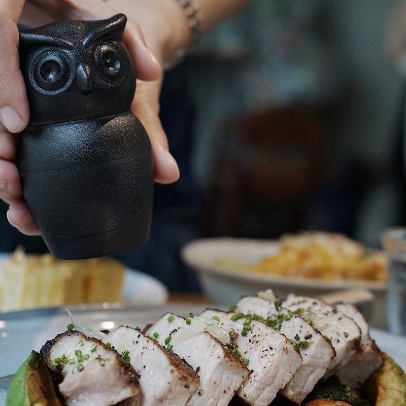 QUALY 猫头鹰研磨器-黑色 - 调味罐/酱料瓶 - 塑料 黑色