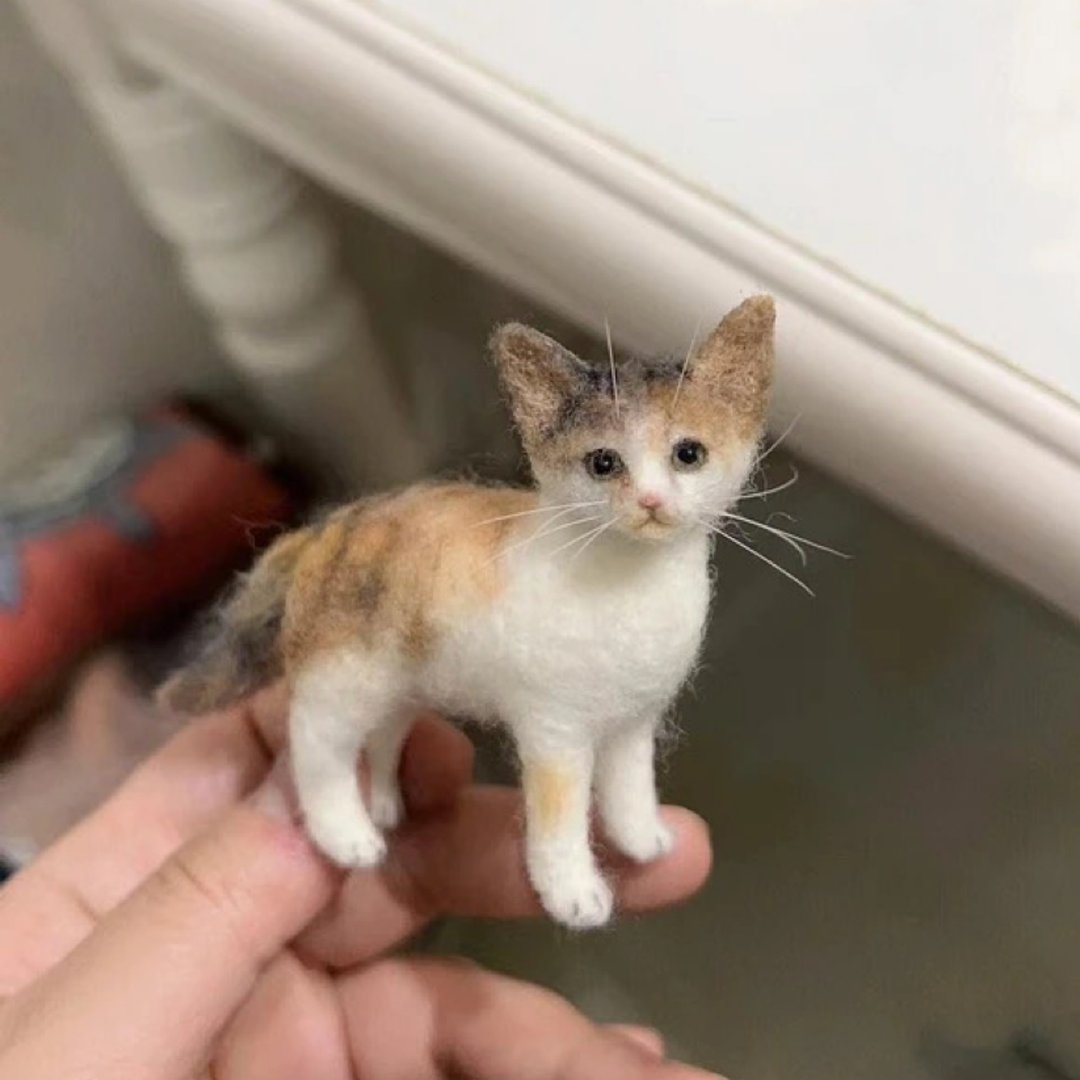 定制化礼物 逼真猫猫 羊毛毡 毛孩 宠物 娃娃 猫咪猫奴 似颜绘 r9 - 玩具 - 羊毛 多色
