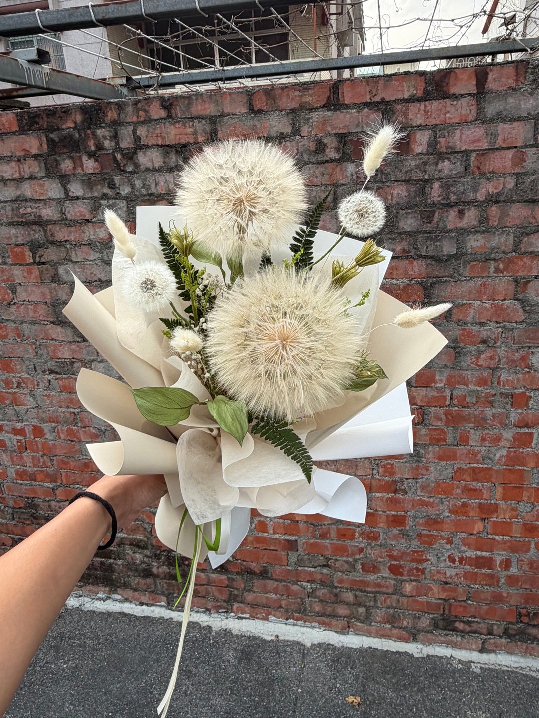 韩系毕业永生蒲公英花束。毕业花礼/生日纪念/永生巨大蒲公英 - 干燥花/捧花 - 植物．花 卡其色