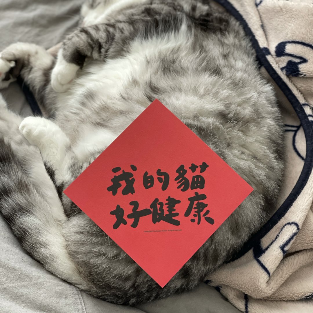 【快速出货】我的猫好健康春联斗方挥春 ㄧ入 - 红包/春联 - 纸 红色