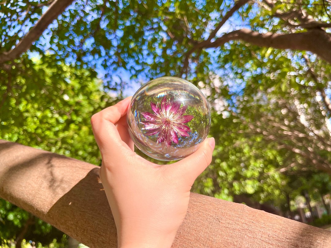 星芹环氧树脂水晶球/植物标本纪念日礼物 - 摆饰 - 树脂 透明
