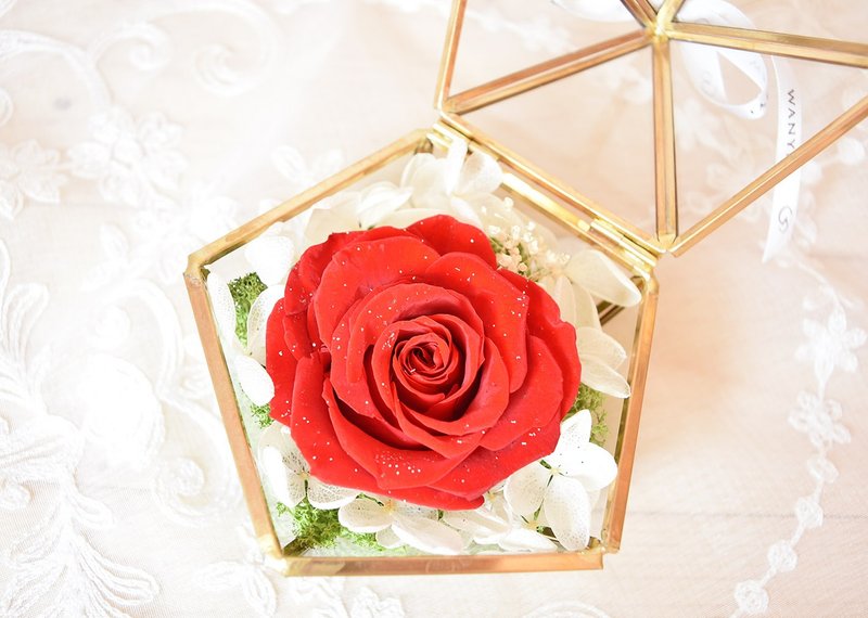红钻石玫瑰 玻璃宝盒  永生花/情人节/求婚/纪念日/婚礼布置 - 植栽/盆栽 - 植物．花 红色